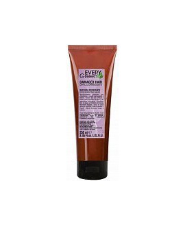 DIKSON DAMAGED HAIR MASHERA...