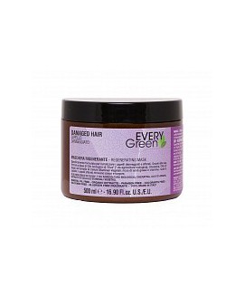 DIKSON DAMAGED HAIR MASHERA...