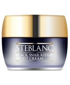 STEBLANC Black Snail Repair...