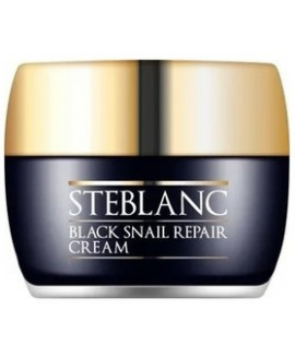 STEBLANC Black Snail Repair...
